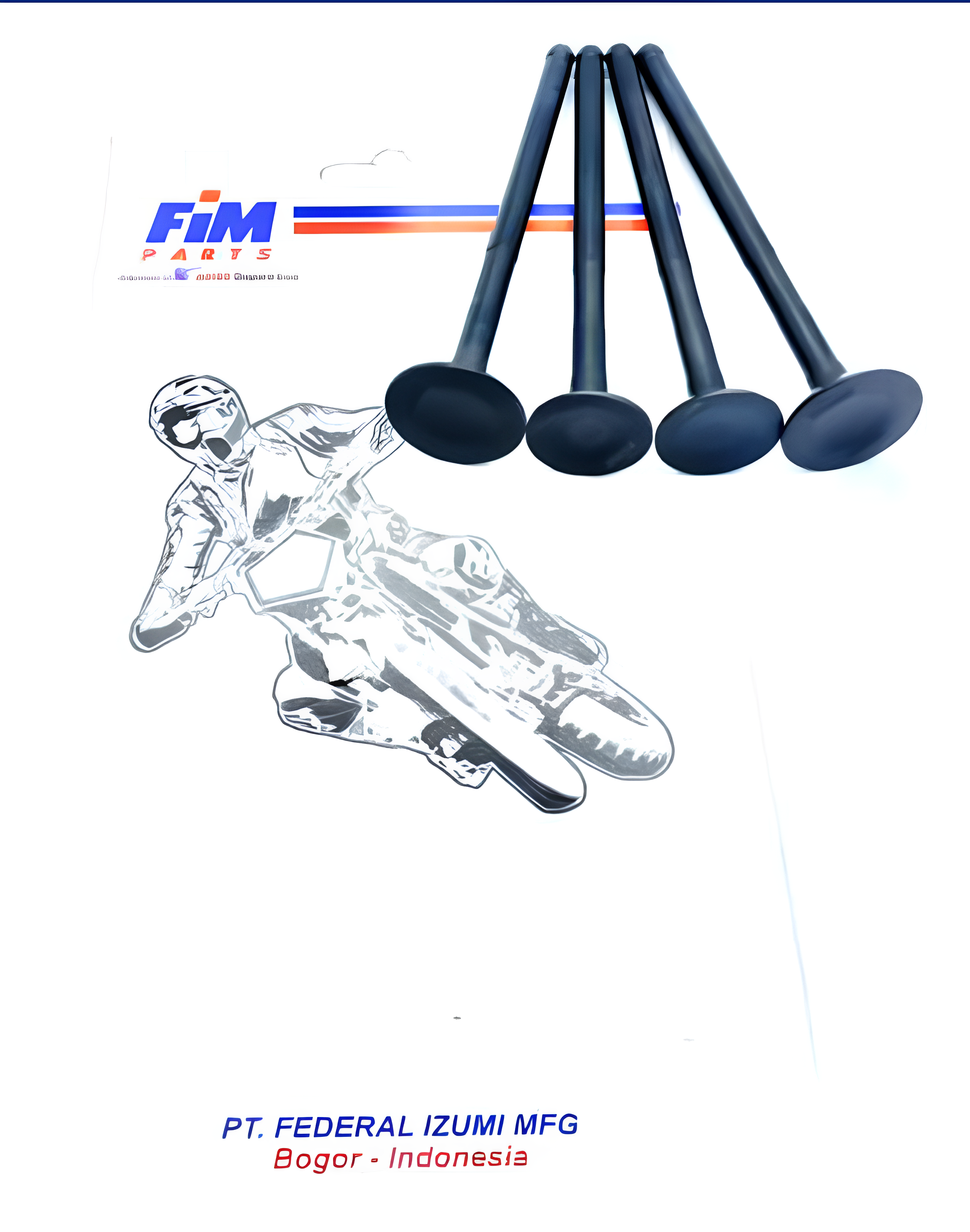 Valve FIM-VAY-2DP