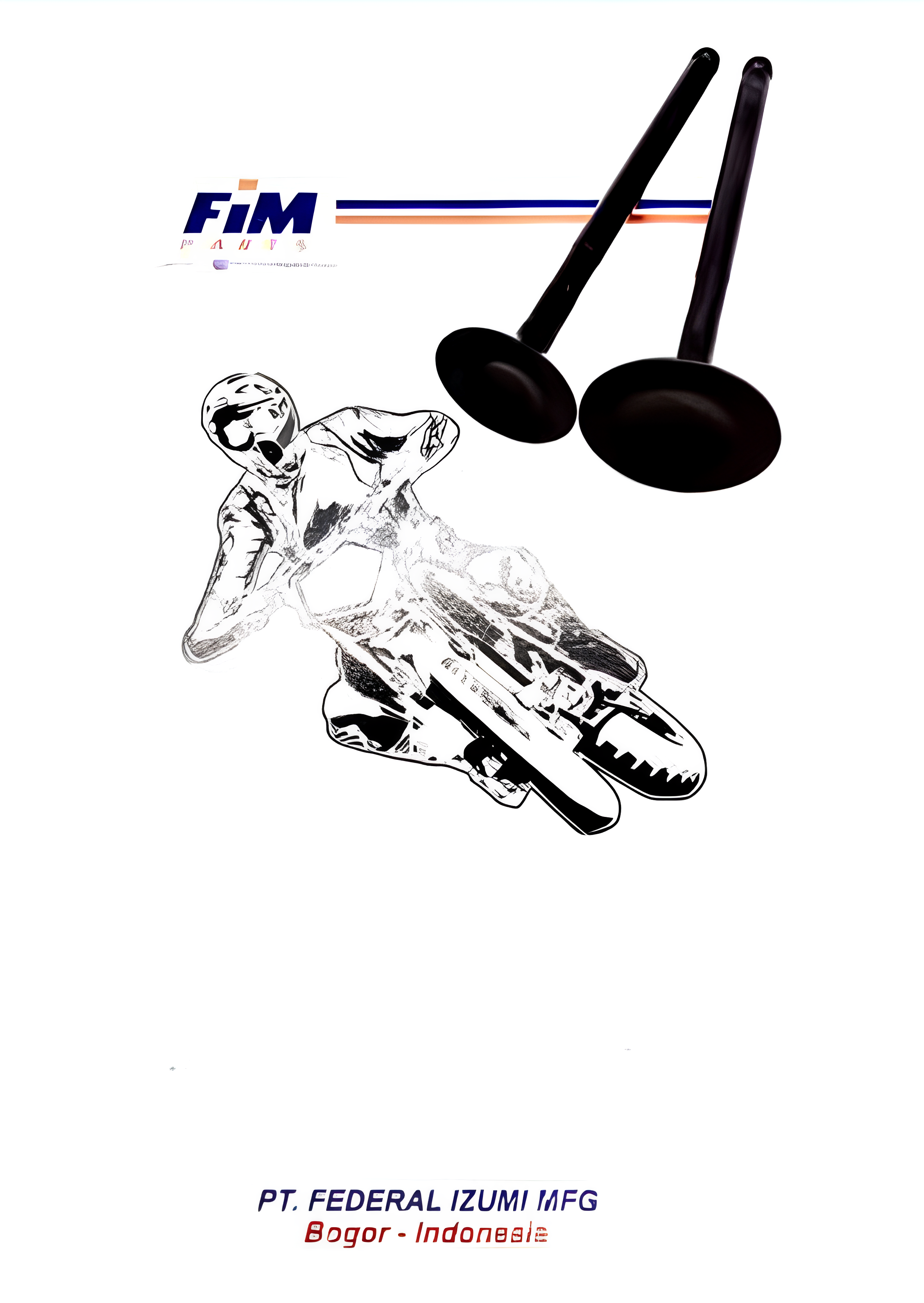 Valve FIM-VAY-2PH